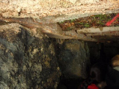 [Thumb - sepp_root_cellar_8_small.jpg]