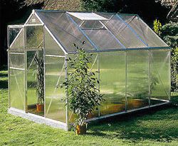 Juliana Basic 600 Greenhouse